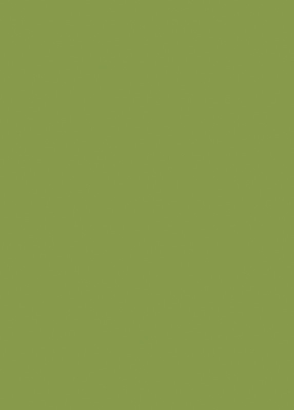 U626 ST9 Pal Melaminat Verde Kiwi 