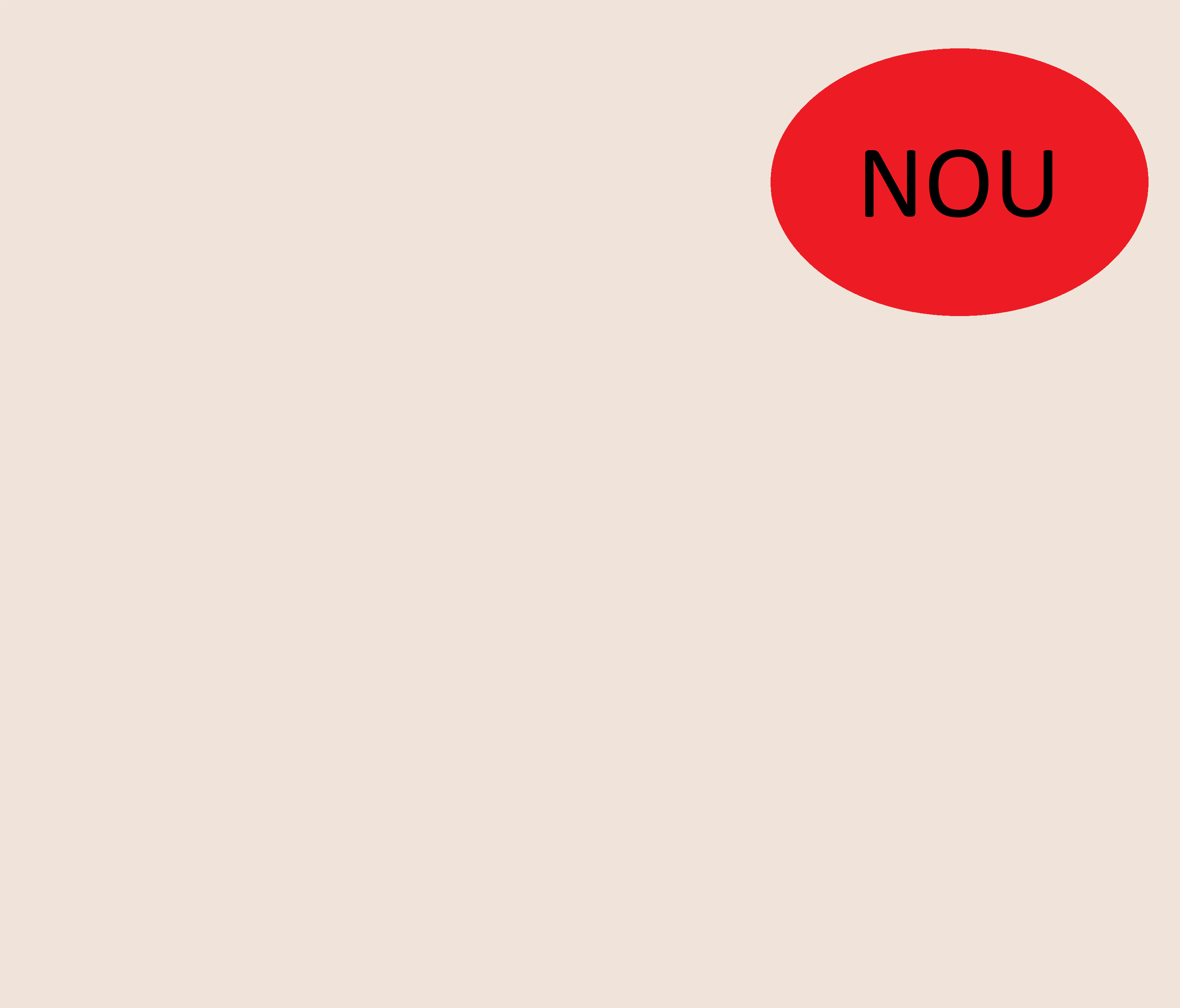 U220 ST9 Pal melaminat Bej Fin