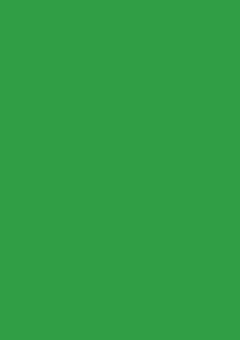 U600 ST9 - Pal melaminat Verde Mai 