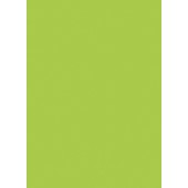 U630 ST9  Pal melaminat  Verde lamaie 