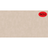 F661 ST76 - Blat de lucru Piatra calcit bej nisip