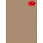 U250 ST9 Pal melaminat Bej caramel