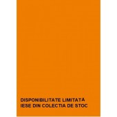 U332 ST9 Pal melaminat Portocaliu