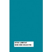 U633 ST9 Pal melaminat  Verde Turquoise