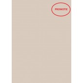 U702 ST9 Pal melaminat Gri Casmir