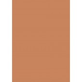 U830 ST9 Pal melaminat Caramel Nude