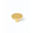 Buton pentru mobilier Como auriu periat
